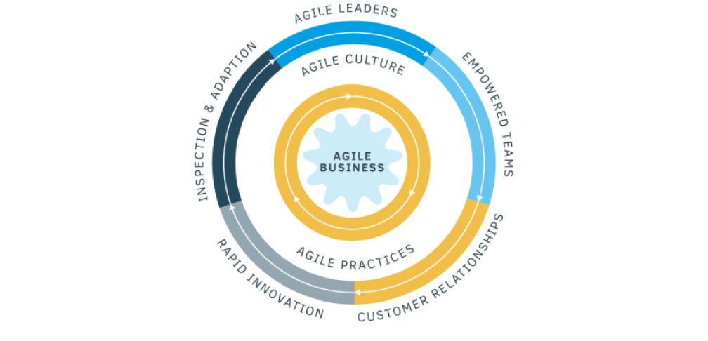 The Agile Business The Agile Business
